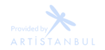 Provider Artistanbul
